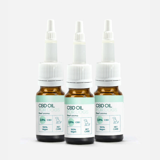 3er-Pack: CBD Öl für Hunde - Rind (2,5%)