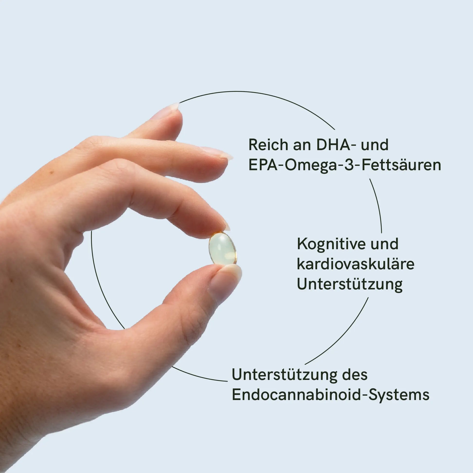 Omega-3 Kapseln von Nordic Oil mit aufgelisteten Eigenschaften