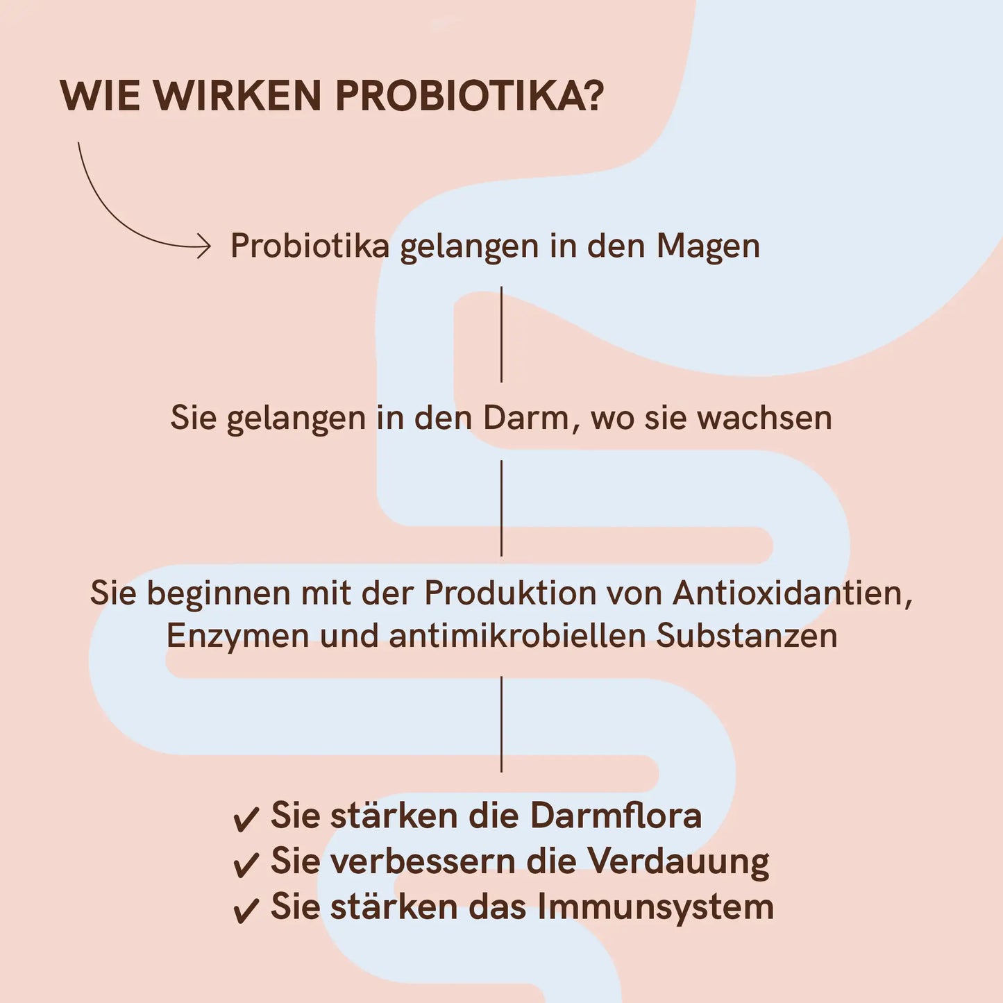 Probiotika - Mit Vitamin C und Inulin | Nordic Oil