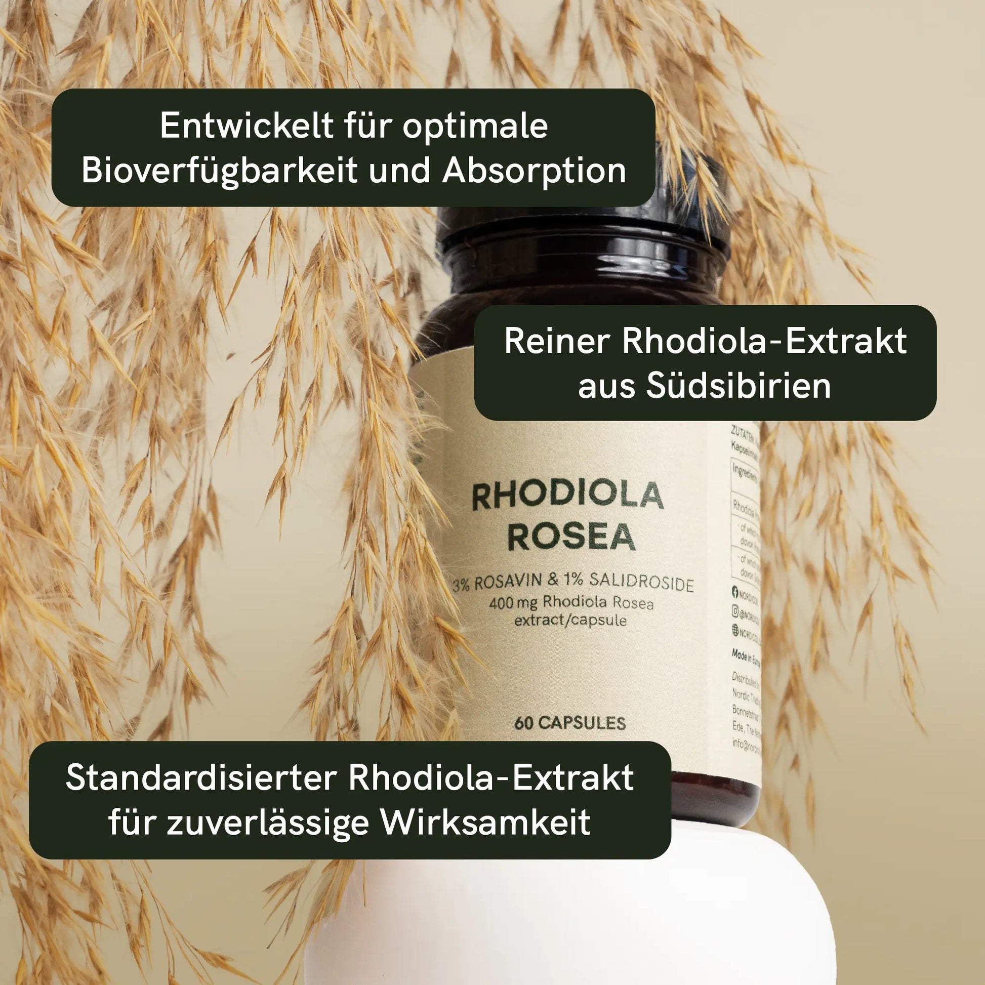 Flasche Rhodiola-Rosea-Extrakt-Kapseln vor trockenen Gräsern