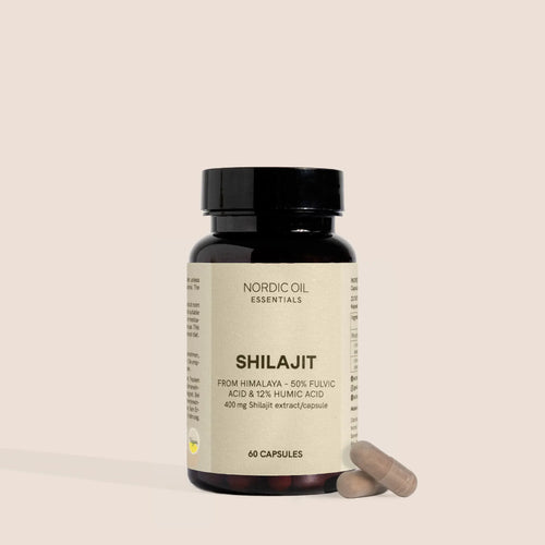 Shilajit Kapseln
