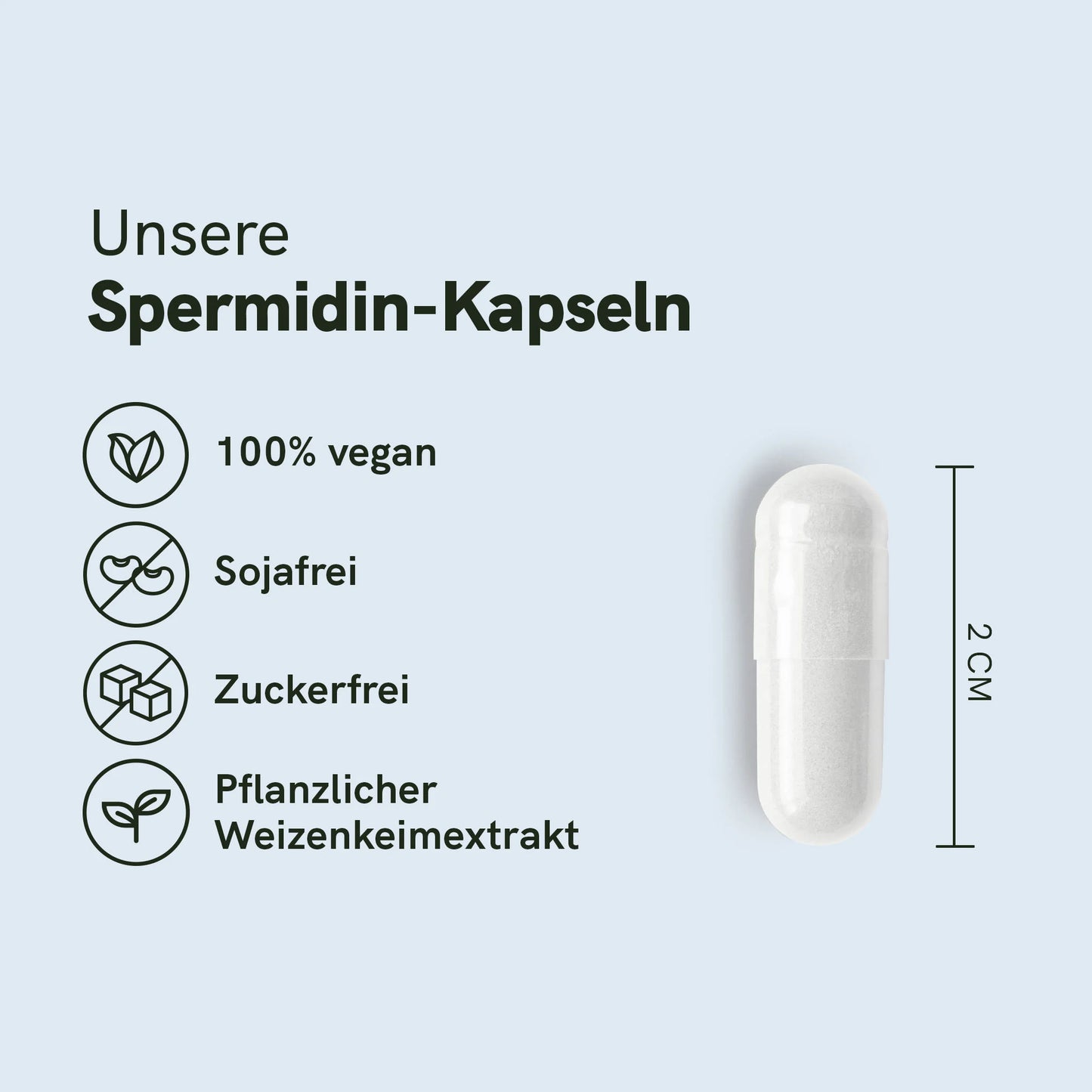 Spermidin Kapseln