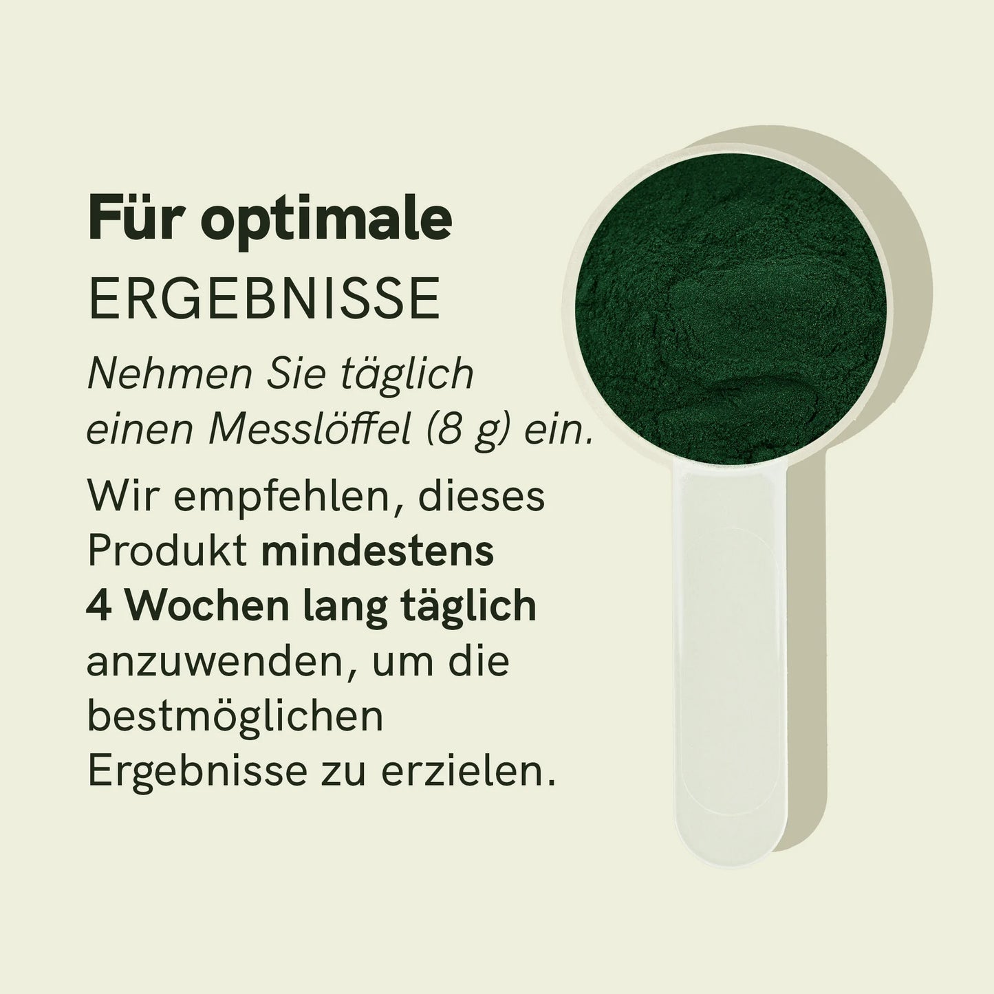 Spirulina Chlorella Pulver