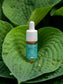 CBD Öl (10%) für CBD-Infos Leser